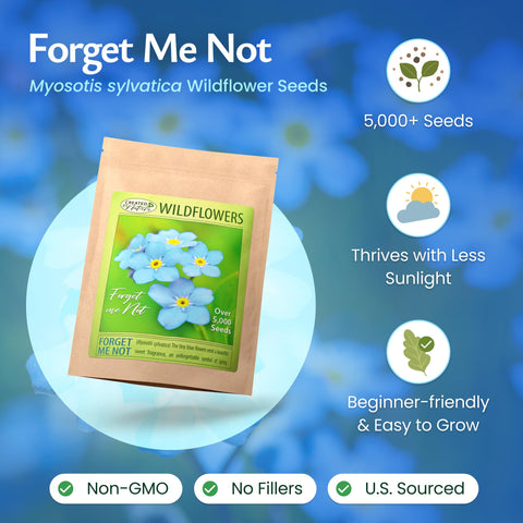 Created By Nature forget-me-not seeds sow directly outdoors for low-maintenance color.