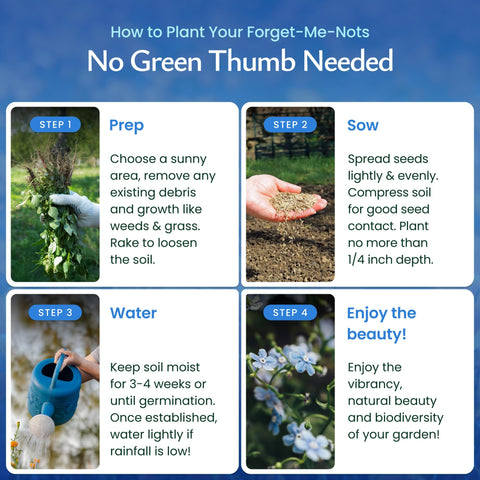 Created By Nature forget-me-nots are US-sourced non-GMO seeds ensuring reliable germination.