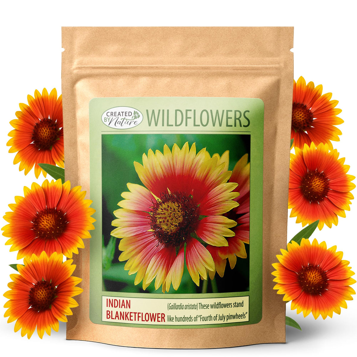 Created By Nature Indian Blanketflower seeds packet front, showcasing premium non-GMO seeds for color