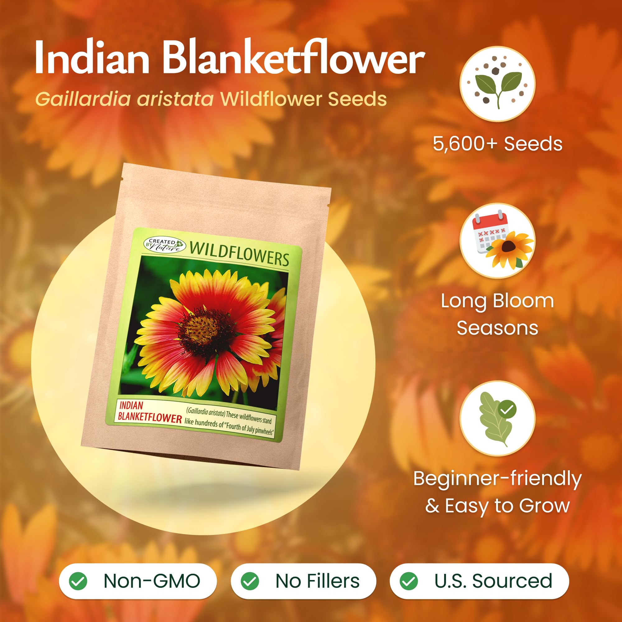 Created By Nature Indian Blanketflower seeds spread in prepared soil for spring germination