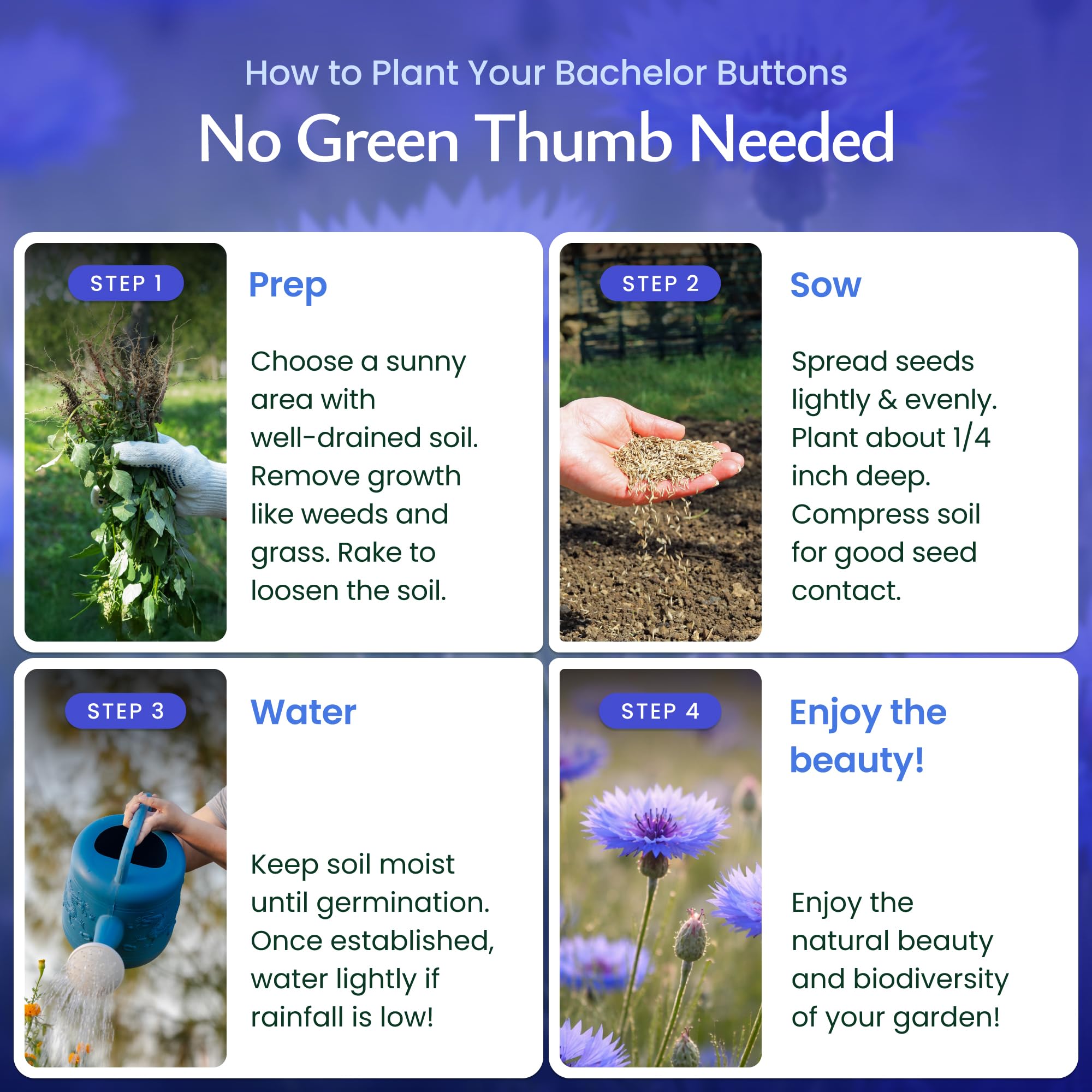 Created By Nature Pollinator-friendly mix supports bees and butterflies throughout blooming season.