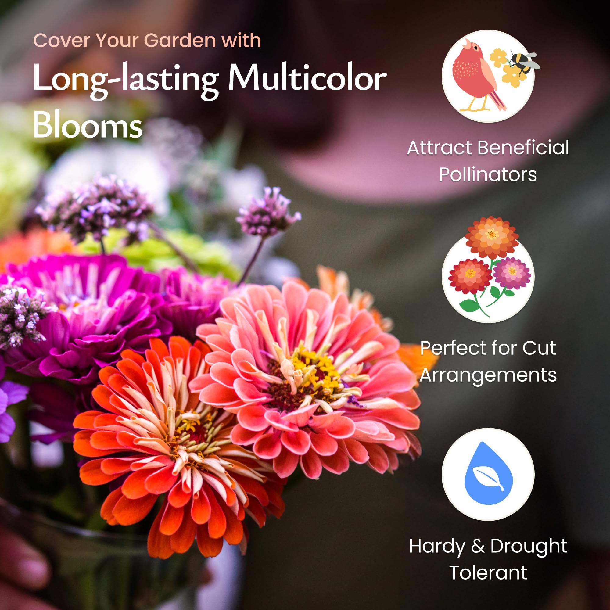 Created By Nature pollinator-friendly zinnias inviting bees and butterflies to the garden.