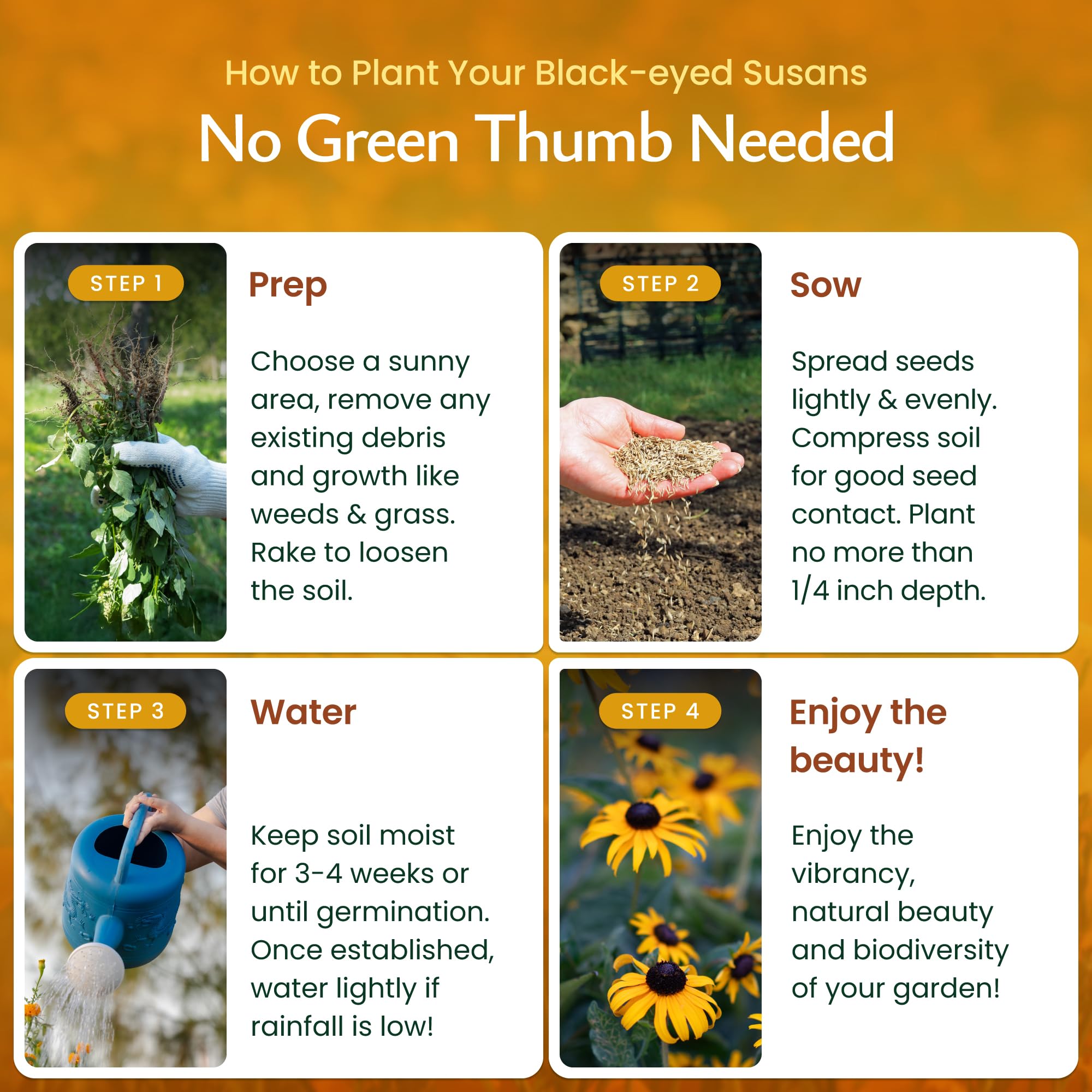 Created By Nature pollinator-friendly wildflowers attracting bees, butterflies, and hummingbirds.