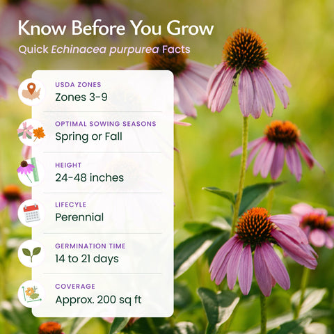 Created By Nature purple coneflower seeds attract bees, butterflies and hummingbirds.