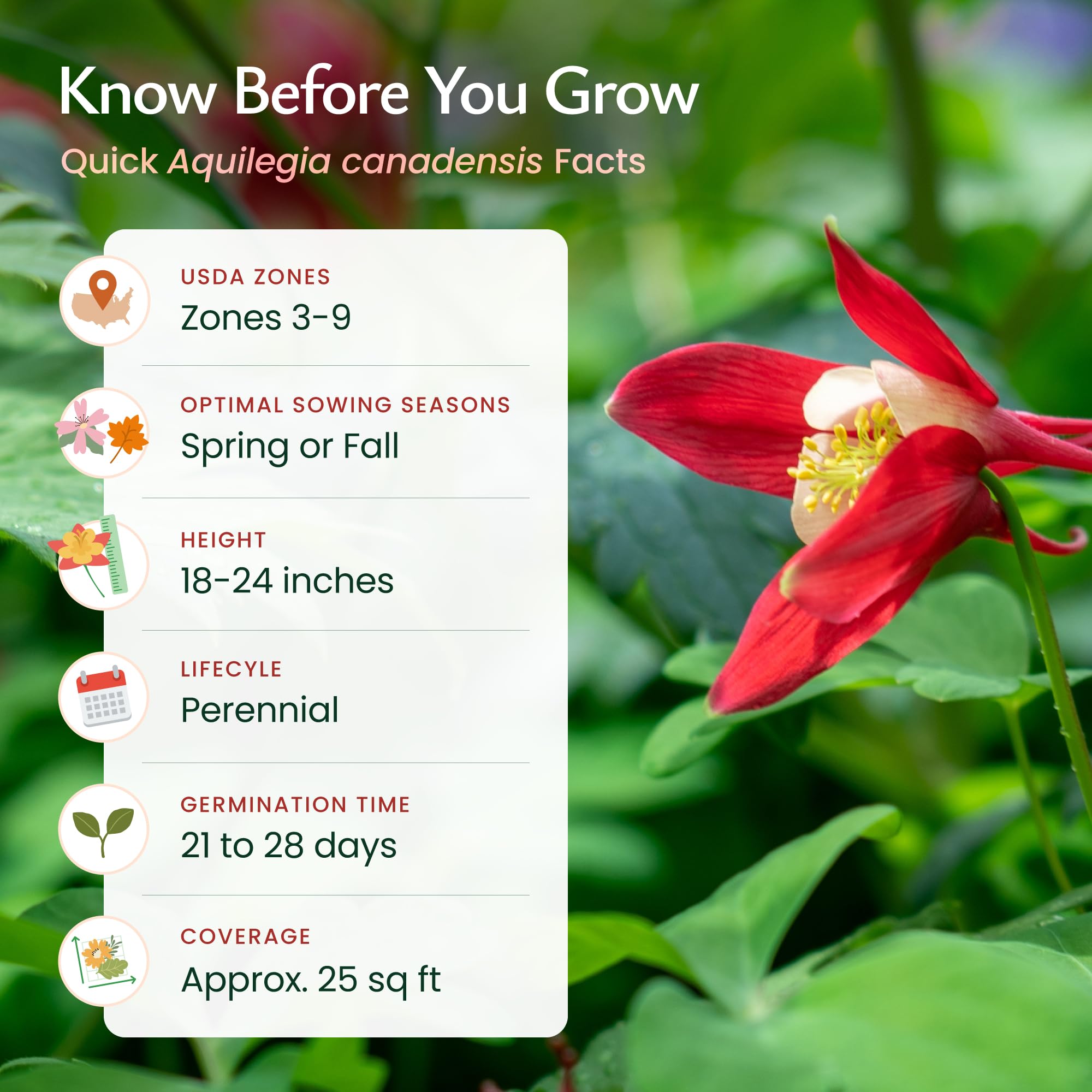 Created By Nature seed germination image demonstrating easy starting for beginners.