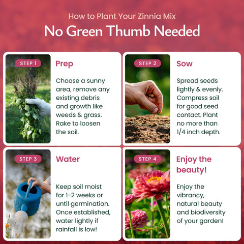 Created By Nature USA-sourced non-GMO seeds ensure high germination and reliable color.