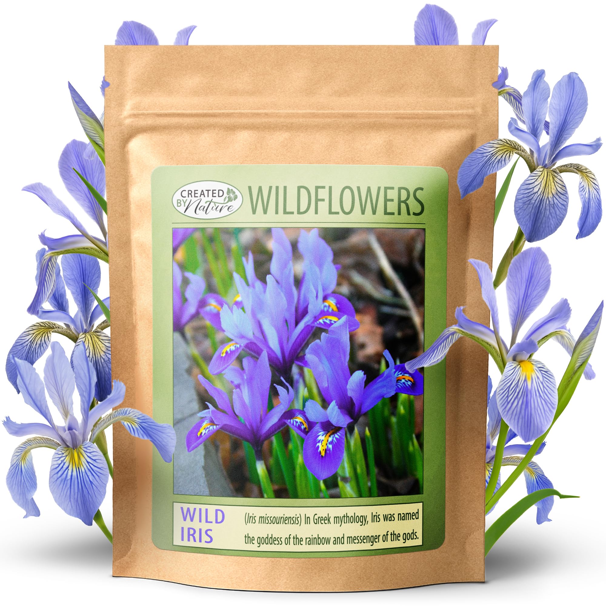 Created By Nature Wild Iris seeds pack for easy borders and color