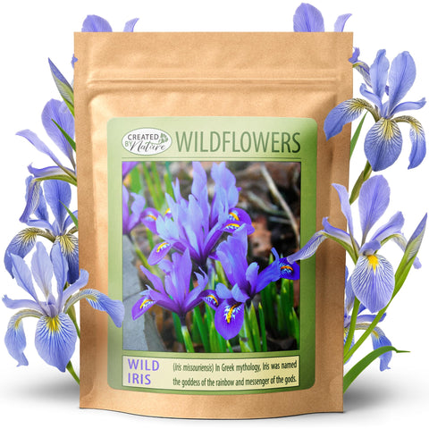 Created By Nature Wild Iris seeds pack for easy borders and color