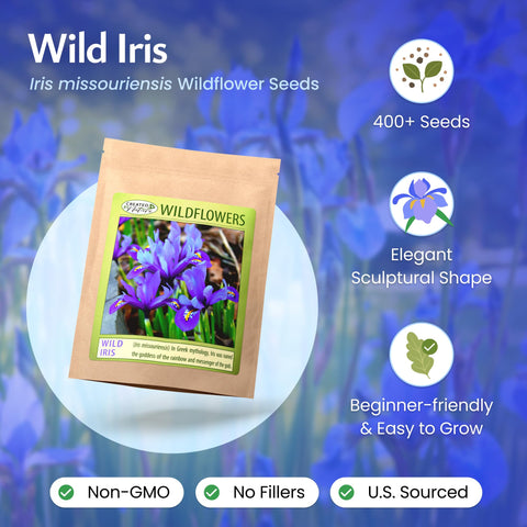 Created By Nature Wild Iris seeds sowing guide for spring planting and germination