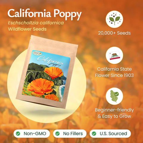 Created By Nature wildflower seeds spread across a garden bed for color