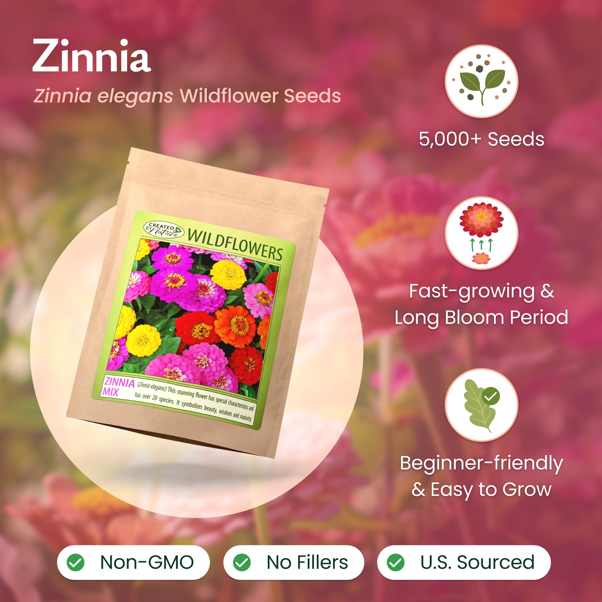 Created By Nature zinnia blooms in sun, showcasing vibrant multi-color petals.