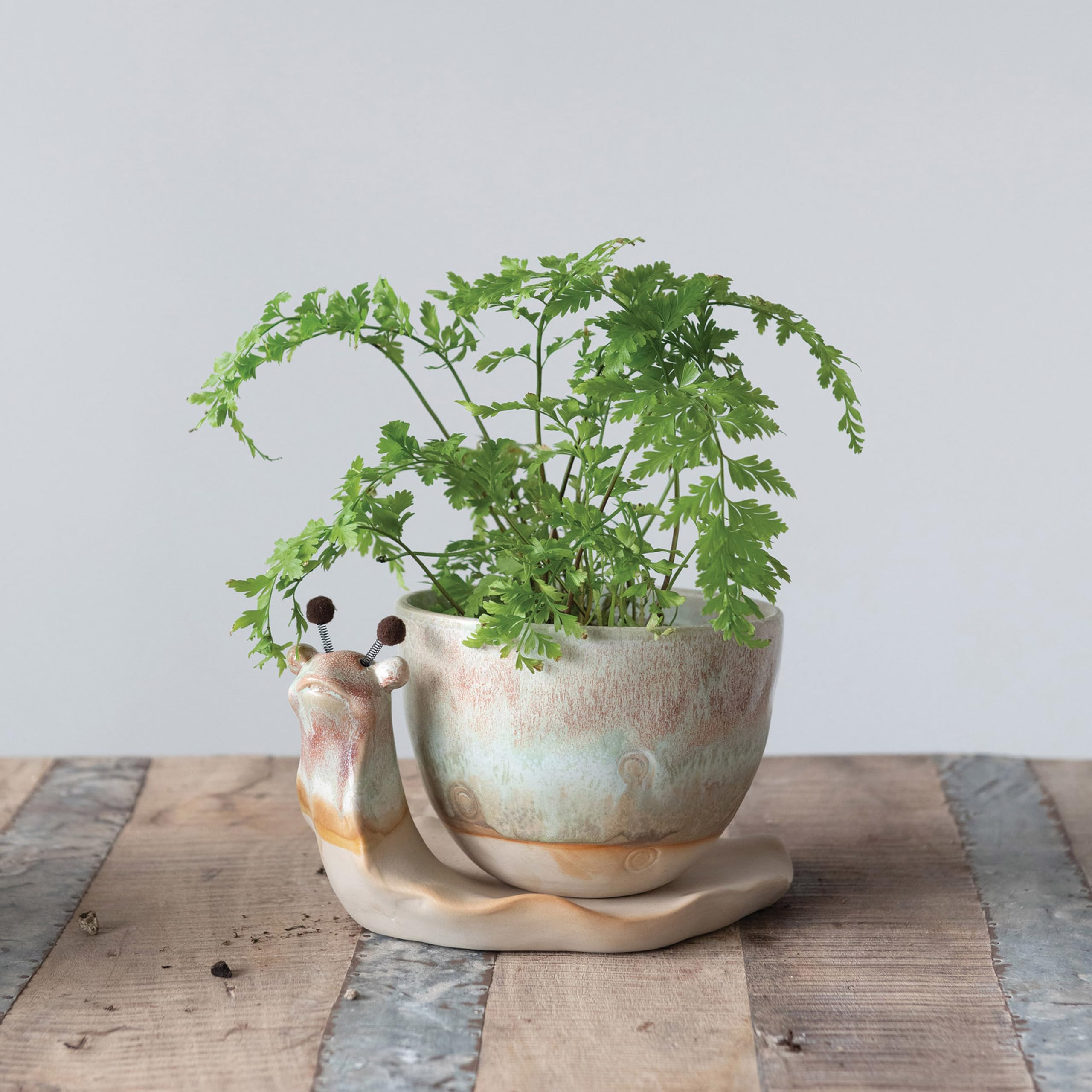 Creative Co-Op snail planter enhances a table, shelf, or windowsill