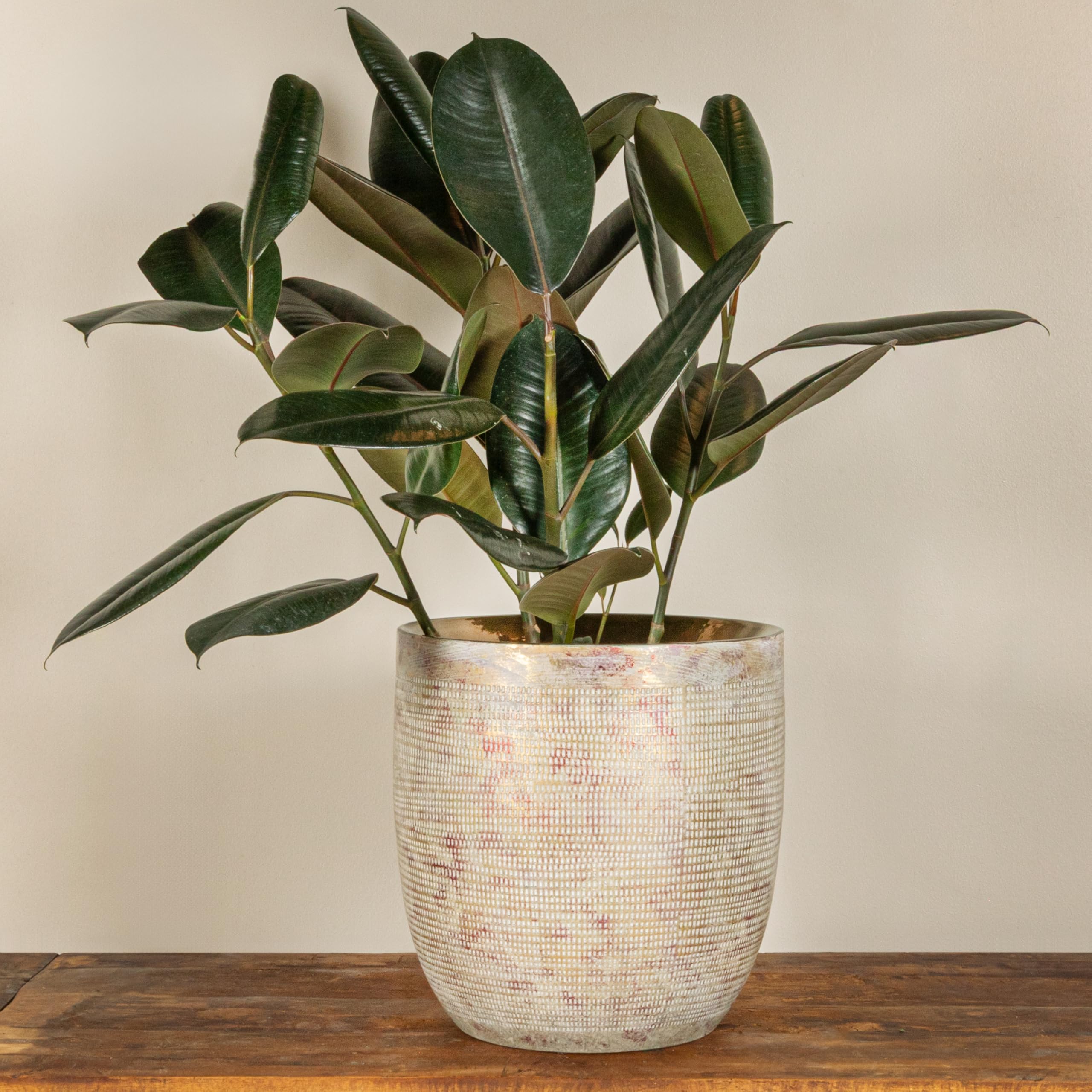 Creative Co-Op stoneware planter suits real or faux greenery in any room