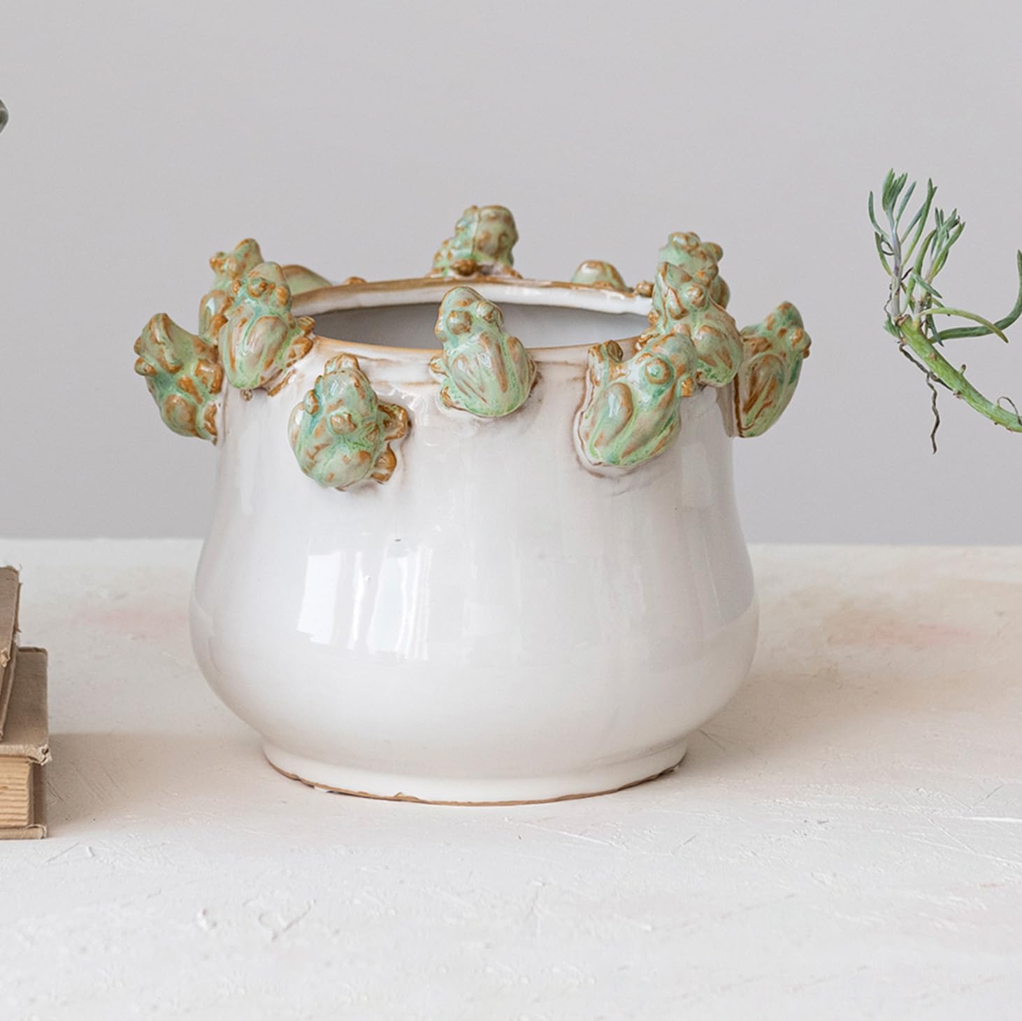 Frog figurines detail on rim add playful character to indoor plant displays