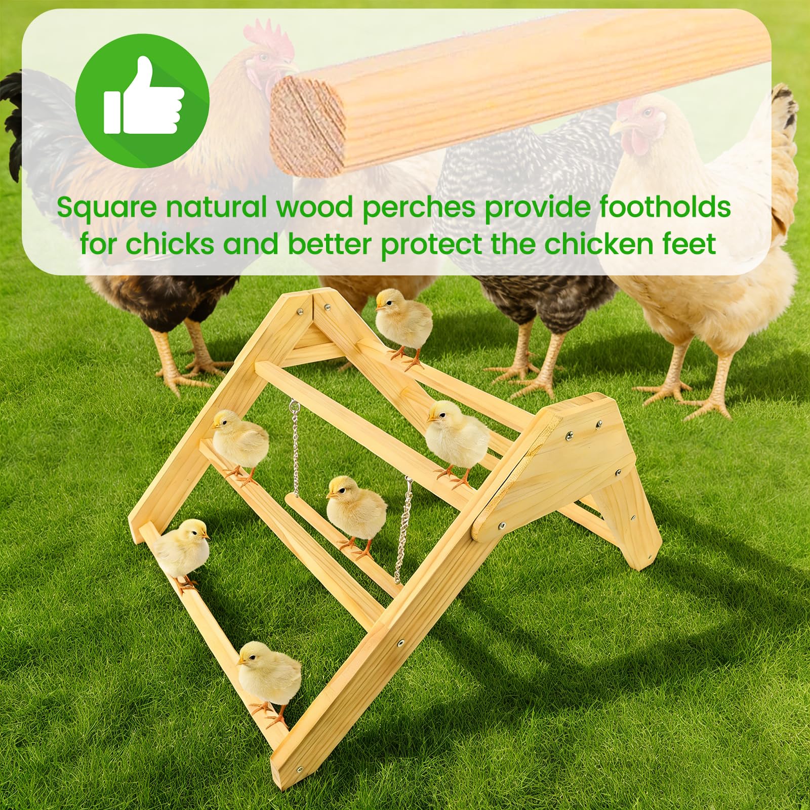 CREDAJUVEE baby chick training toy: quick setup for brooders.