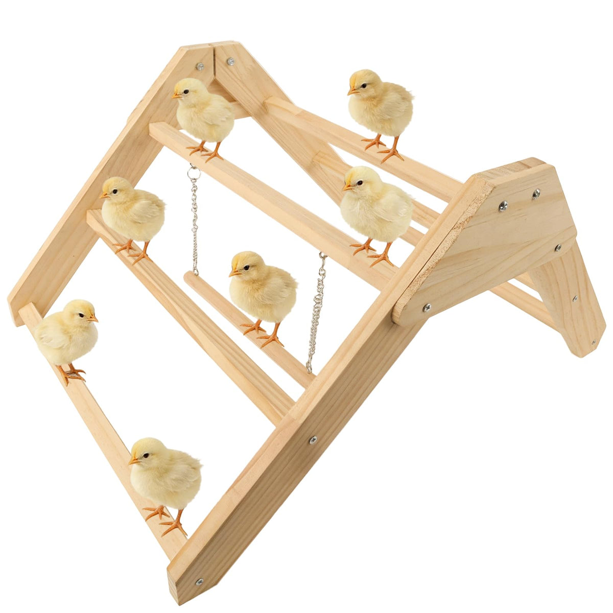 CREDAJUVEE chick perch with wooden-swing: stable roost for growing chicks.