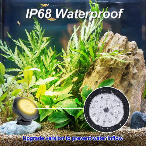 CREPOW landscape light for ground or wall mounting, versatile outdoor illumination.