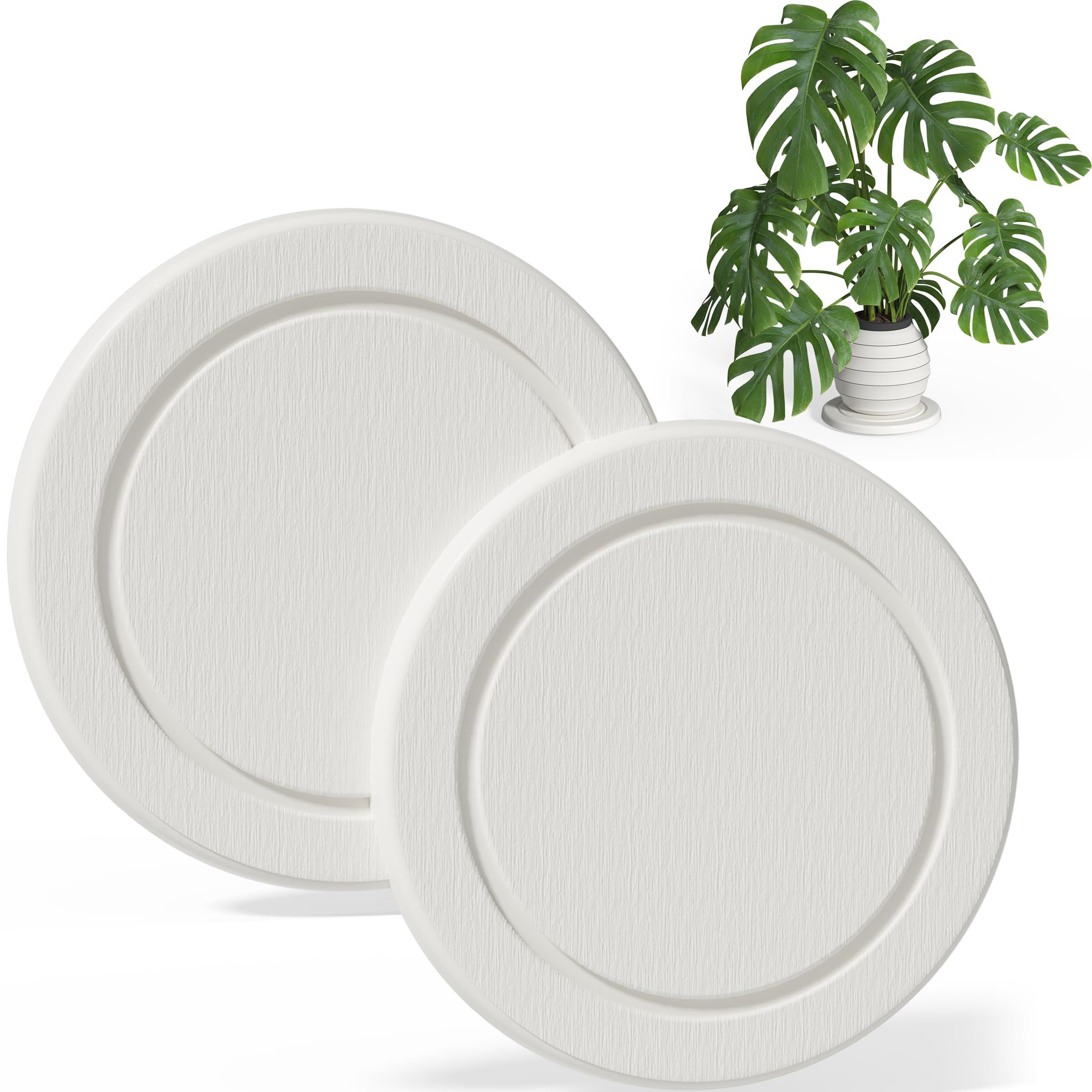 Creproly planter saucer in white showing instant moisture absorption under a thriving plant