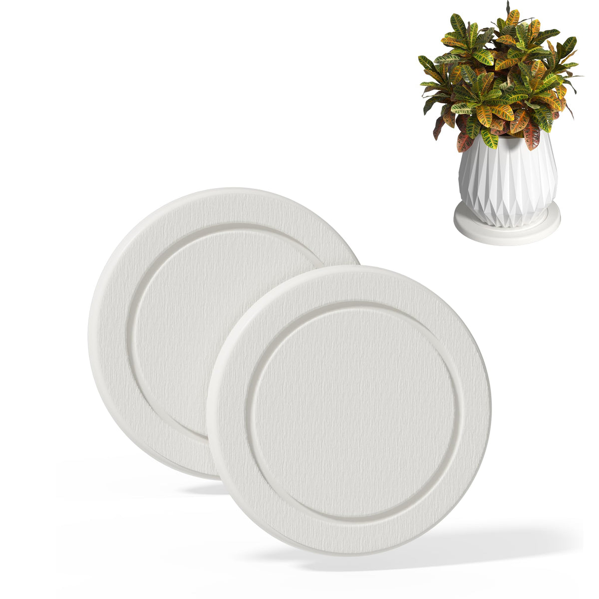 Creproly plant saucer with diatomaceous earth shows instant moisture absorption for pots.