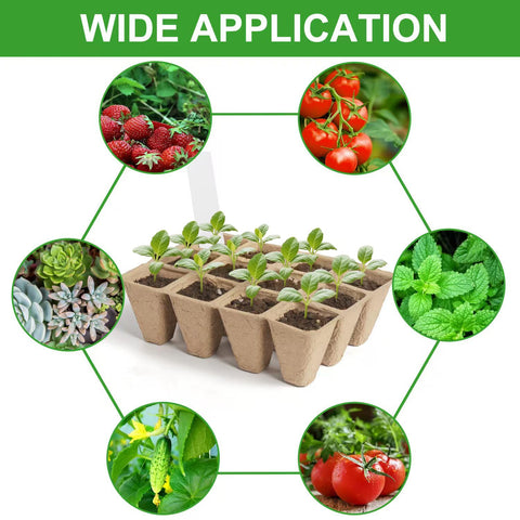 CRNHIGY indoor seed starting trays ideal for beginners and home gardens