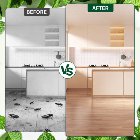 Crobirware garden and patio pest protection powder keeps outdoor areas safer.