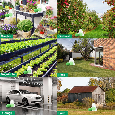 Crobirware garden setup provides outdoor coverage around 120 sq ft.