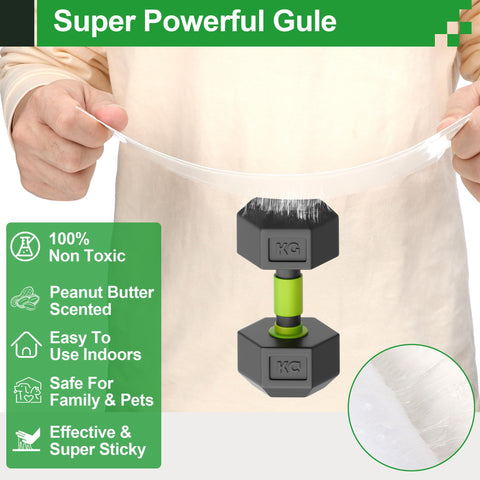 Crobirware glue traps for mice offer a non-toxic, pet-safe containment option.