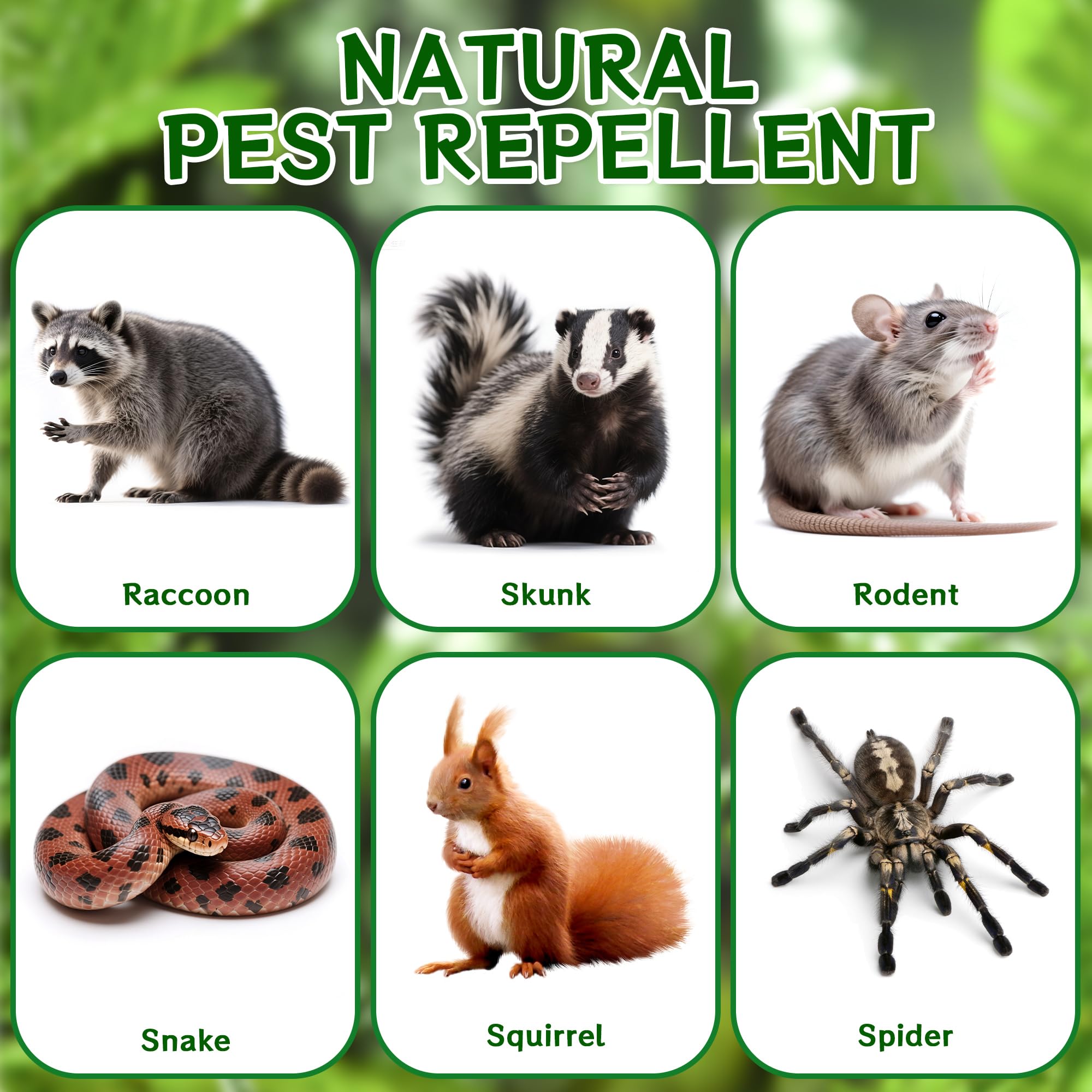 Crobirware raccoon repellent ball under-vehicle: targeted protection where animals roam.