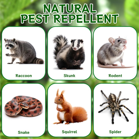 Crobirware raccoon repellent ball under-vehicle: targeted protection where animals roam.