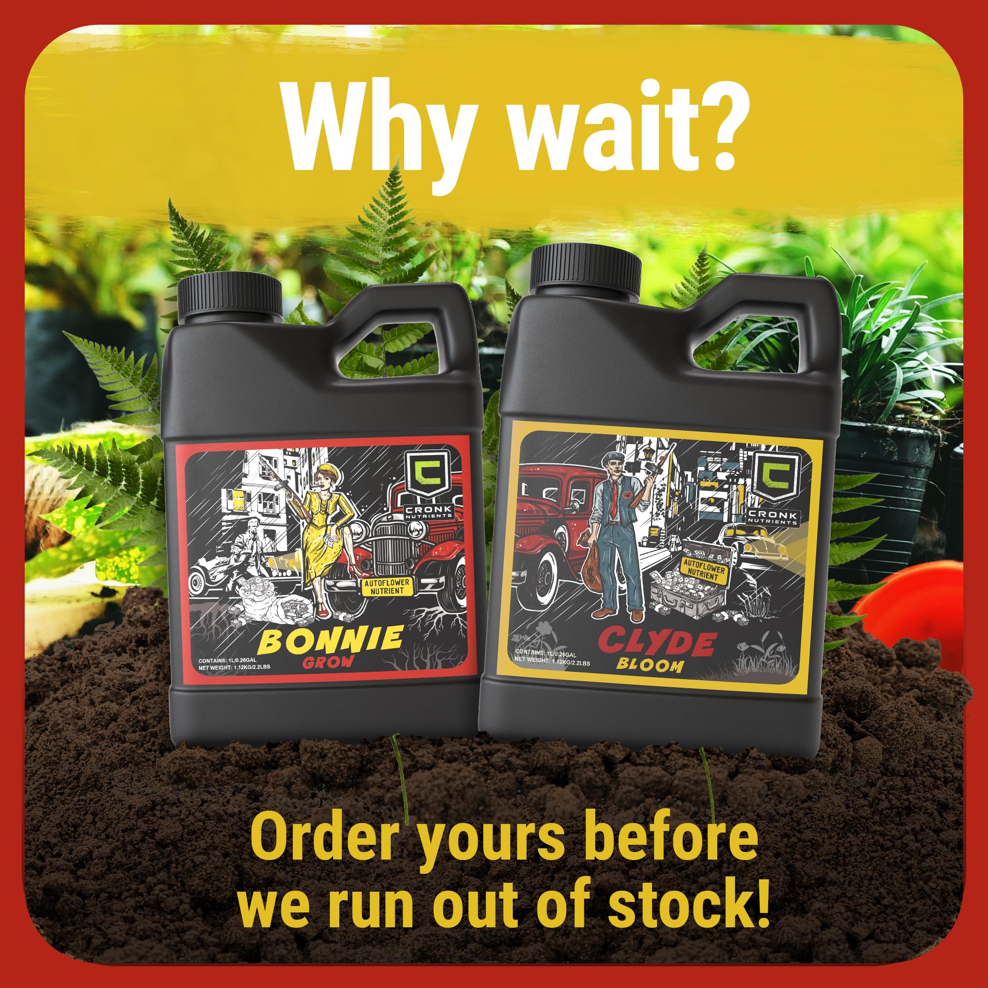 Cronk Grow Bonnie & Clyde autoflower plants in home tents demonstrate growth support.