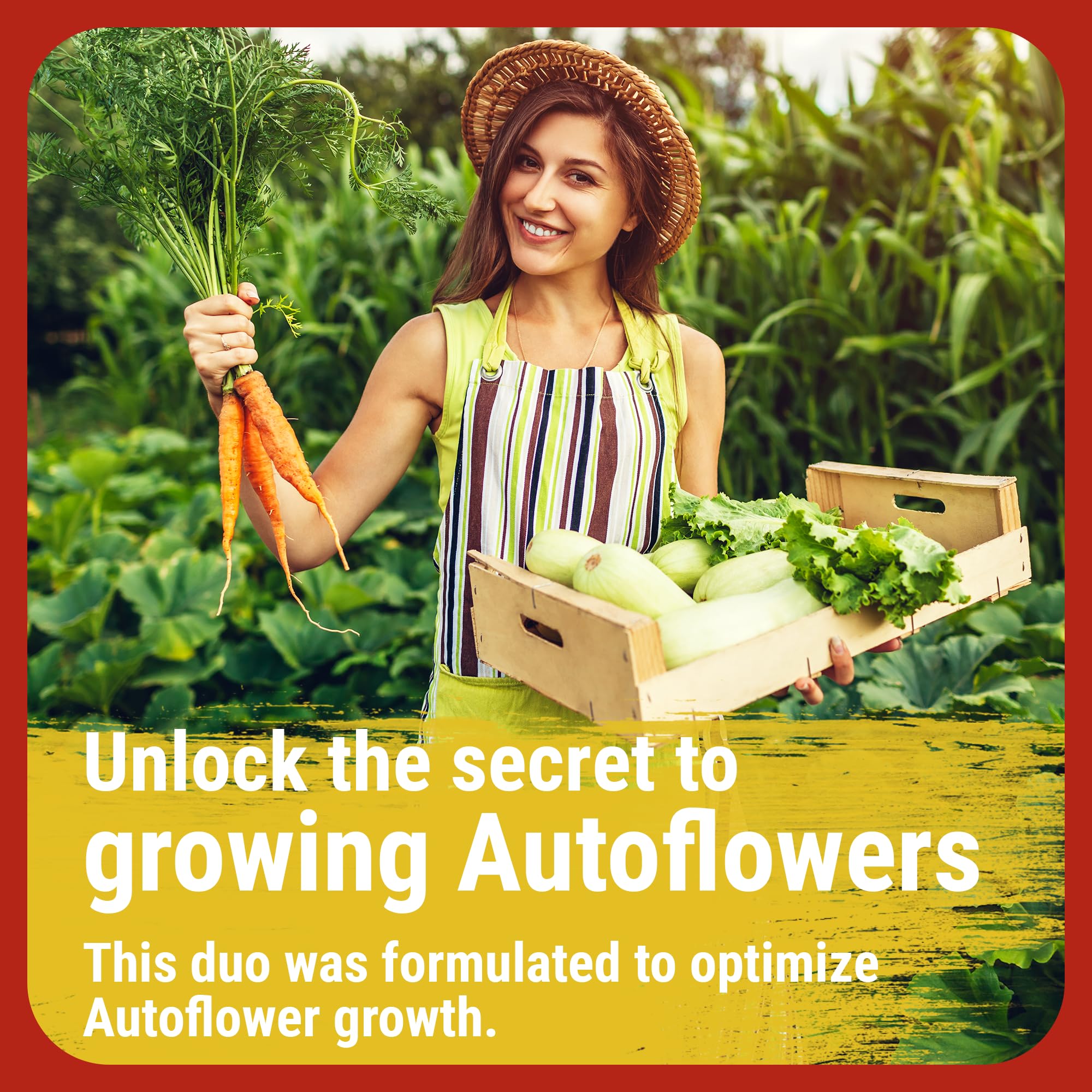 Cronk Grow Bonnie & Clyde bloom mix for autoflowers boosts yield potential with balanced feeding.