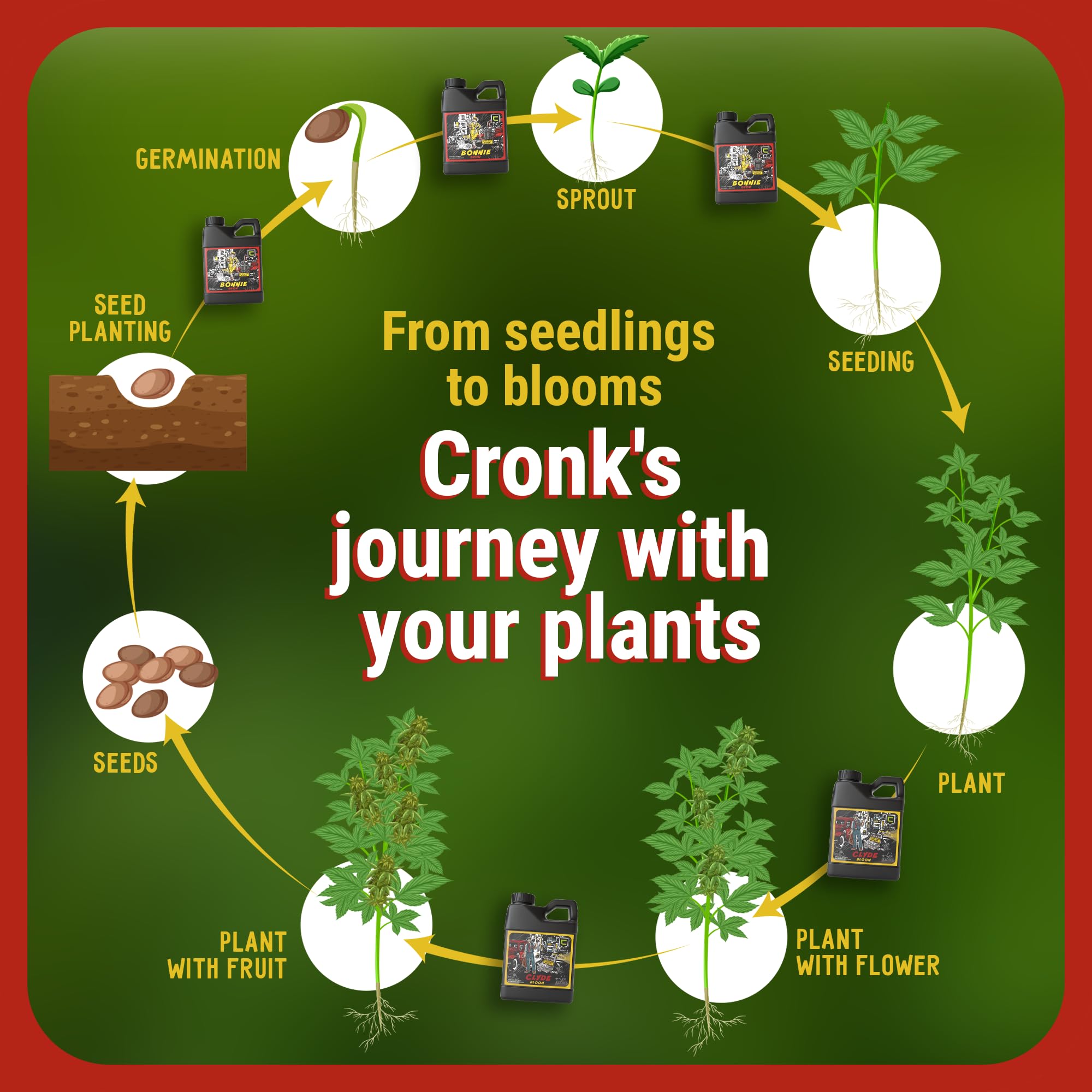 Cronk Grow Bonnie & Clyde water dilution step clarifies mixing for autoflower readiness.