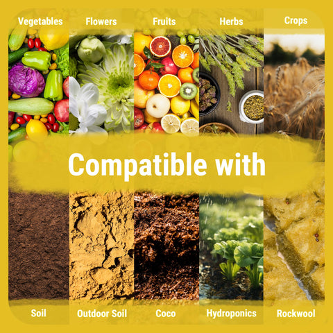 Cronk Grow Bonnie & Clyde yield-focused formula nourishes autoflowers for potential size and vigor.