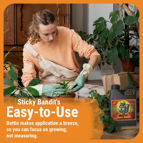 Cronk Grow Nutrients Sticky Bandit aroma bloom captures vibrant scent profile