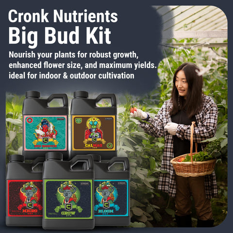 Cronk Nutrients Big Bud Kit dosing scene with precise measurements for feeding.