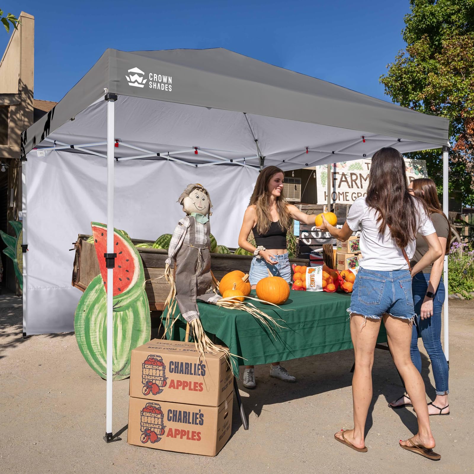 CROWN SHADES SunWall 6.5x10ft sidewall fits 10x10 pop-up tents.