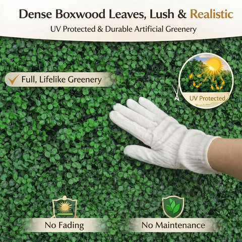 Crowye boxwood panels on outdoor fence providing privacy and aesthetic appeal