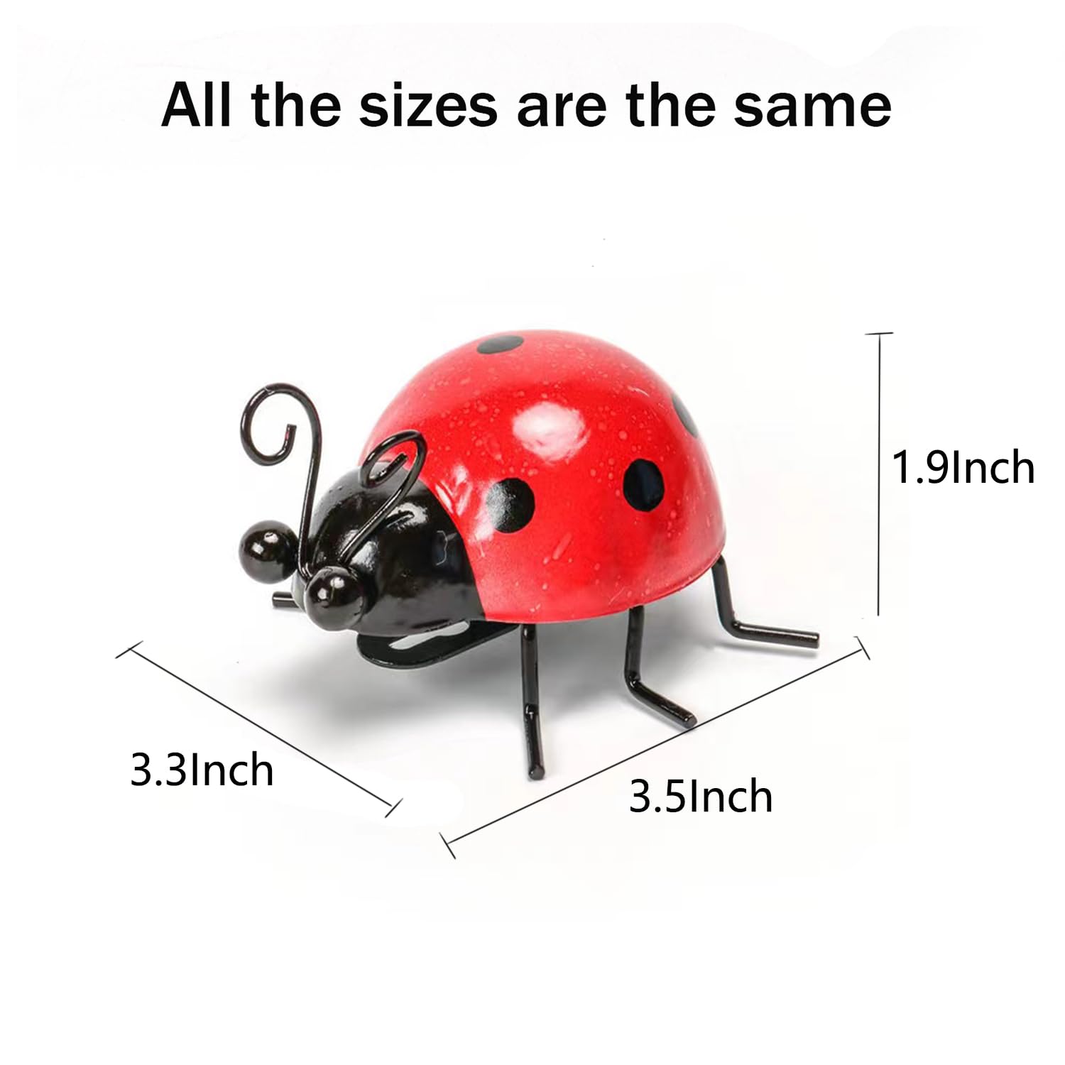 Cruis Cuka wall sculptures of metal ladybugs for outdoor walls.