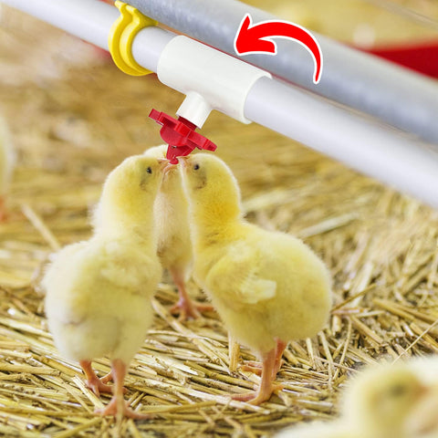 Cruzadel durable PVC tees pack 12 offers long lasting poultry waterer components.