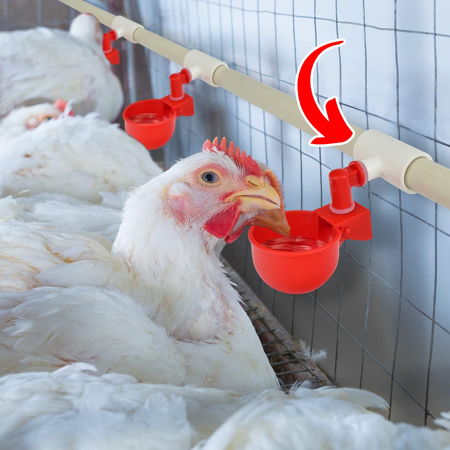 Cruzadel watering cups attachment ensures a secure fit for fast coop setup.