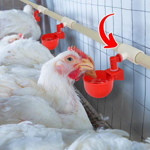 Cruzadel watering cups attachment ensures a secure fit for fast coop setup.