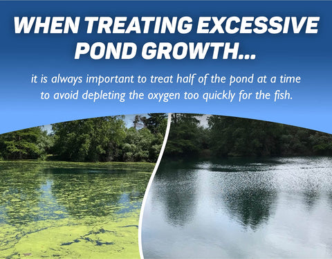 Crystal Blue algaecide applied on thick algae mats in a pond.