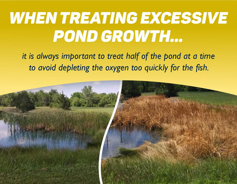 Crystal Blue CattPlex Pro supports ecosystem balance by selective weed control