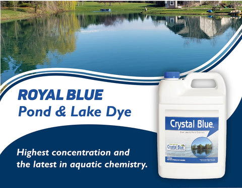 Crystal Blue lake dye before-after photo shows a dramatic color transformation.
