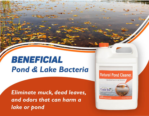 Crystal Blue pond bacteria-boost demonstrates natural bacteria supporting clarity.