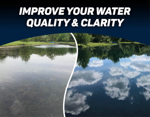 Crystal Blue pond dye pour action demonstrates easy application