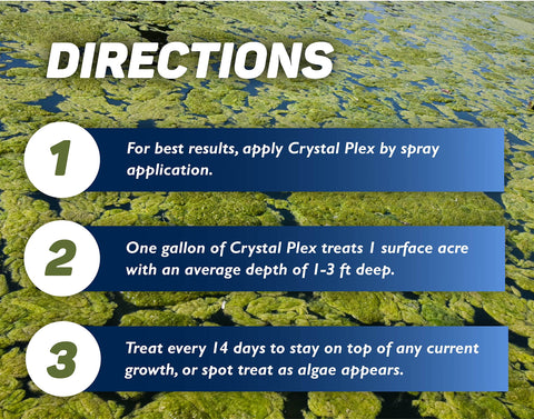 Crystal Plex safe water after treatment for swimmers and pets.