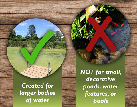 Crystal Plex clear water after application promotes enjoyable pond visibility.