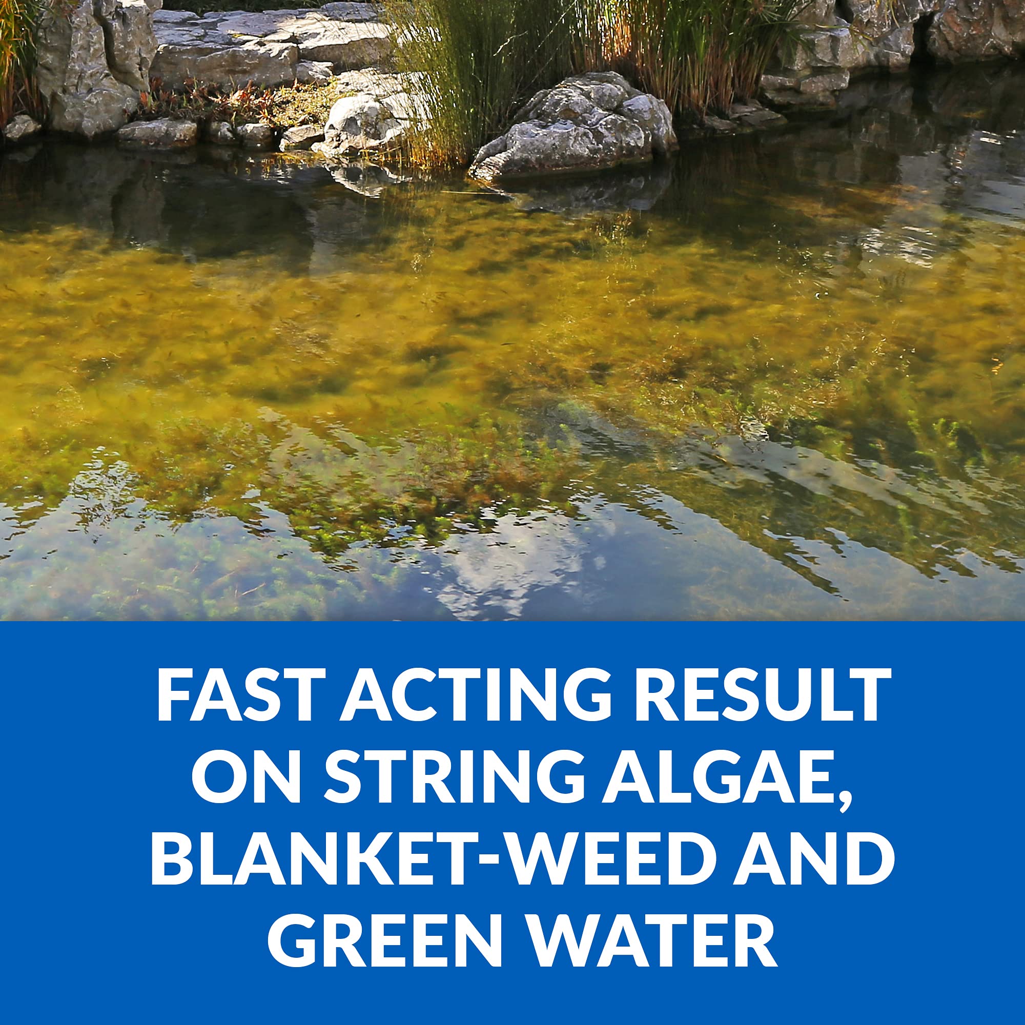 CrystalClear Algae D-Solv removes green water in a backyard pond.