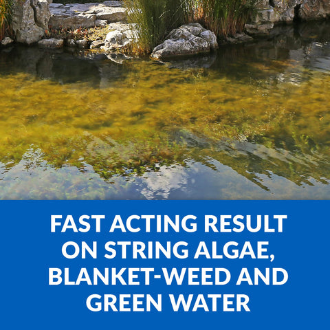 CrystalClear Algae D-Solv used in fountains for algae control.